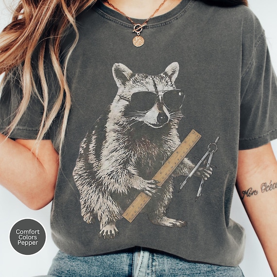 Funny Math Teacher Shirt, Raccoon Algebra Geometry Calculus Comfort Colors Tshirt, High School Math Teach Humor, Math Team Shirts