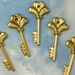 see more listings in the Sm Packs Skeleton Keys section