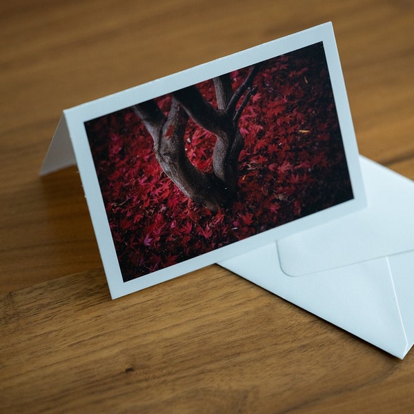 Red Japanese Maple single note cards 3.5"x5"