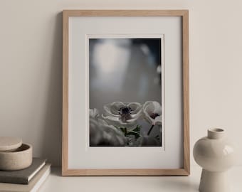 13 x19 Giclee print: White Anemone from the Farmers Market