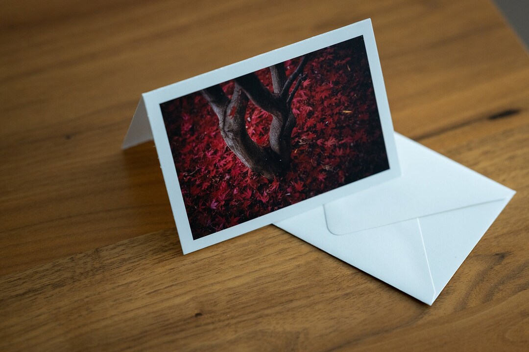 Red Japanese Maple Single Note Cards 3.5"x5" - Etsy