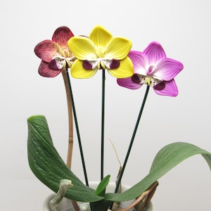 Orkidéblomststång, krukpinne, vårträdgårdsdekoration, heminredning, inflyttningspresent, magenta gul vinröd, polymerlera