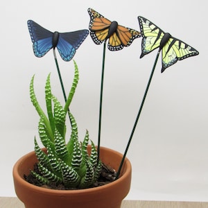 May include: Three butterfly garden stakes in a terracotta pot with a green succulent plant. The butterflies are blue, orange and yellow.