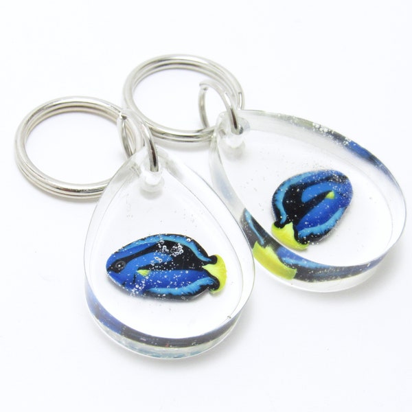 Blue Tang Keychain, Fish Keyring, Sea Life Key Fob, Aquarium Fish, Clear Resin, Polymer Clay, Blue Yellow Black, Summer Accessory, Girl Gift