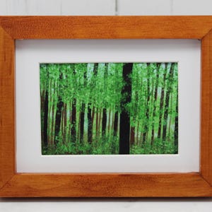 Puede incluir: Una pintura enmarcada que representa una escena de bosque con árboles verdes y un marco de madera marrón.