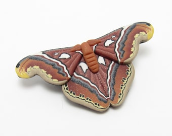 Atlas Moth Brooch, Giant Silk Moth Pin, Brown Black White, Polymer Clay, Nature Inspired, Unique Womens Jewelry, Entomologist Gift