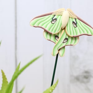 May include: A decorative Luna moth on a green stem. The moth features light green wings with brown edges and black eye-like markings. The moth is set against a blurred white background with green plant leaves in the foreground.