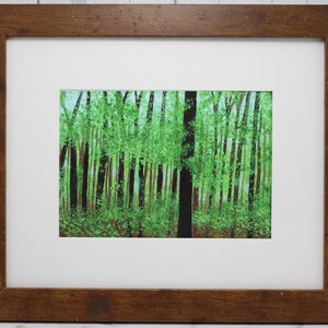 Puede incluir: Una impresión artística enmarcada de una escena de bosque. La obra representa un bosque denso con troncos de árboles altos y oscuros y un follaje verde vibrante. La impresión está enmarcada en un passe-partout blanco y un marco de madera marrón rústico.