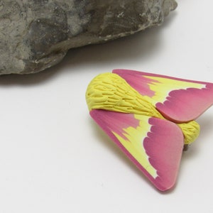 Rosy Maple Moth Brooch, Great Silk Moth Pin, Pink Yellow, Polymer Clay, Nature Inspired, Unique Womens Jewelry, Entomologist Gift