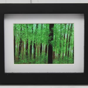 Puede incluir: Una impresión enmarcada de una escena de bosque con árboles altos y delgados en tonos de verde. Los árboles están dispuestos en un patrón denso y vertical, creando una sensación de profundidad y misterio.