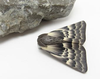 Moth Brooch Pin, Gray Brown Beige, Polymer Clay, Nature Inspired, Hat Pin, Spring Accessory, Unique Womens Gift, Skipper Moth, Looper Moth