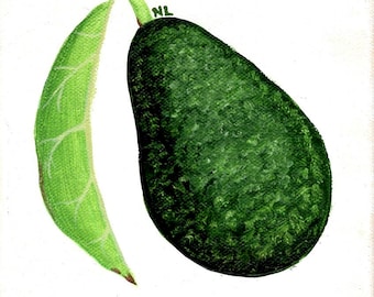 May include: A green avocado with a single green leaf. The avocado has a rough, textured skin. The leaf is long and thin.