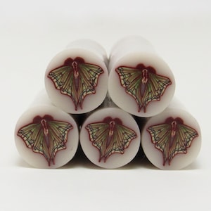 Spanish Moon Moth Cane, Raw Unbaked Polymer Clay, Green Beige Brown, Handmade Craft Supplies, Bead Making, Bug Insect, Lunar Moth