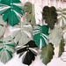 Marrakesh Eucalyptus Monstera leaf 27cm