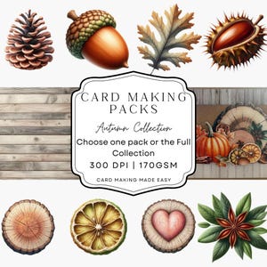 Adornos de la colección de otoño / kit para hacer tarjetas de otoño / material efímero de otoño / kit para hacer tarjetas / tarjetas DIY / diario / kits de manualidades para álbumes de recortes