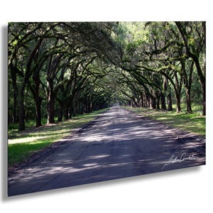 Savannah print, savannefotografie, Savannah Ga, wormsloe plantage print, wormsloes, Live Oak print, zuidelijk huis, savanne Art Print