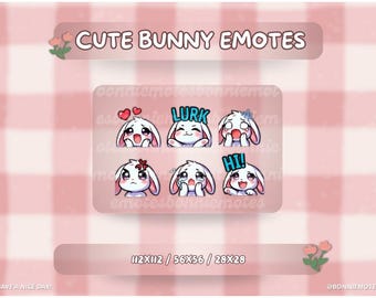Leuke BUNNY-emotes voor Twitch, Discord, Youtube en Discord - Bunny-emotepakket | direct downloaden