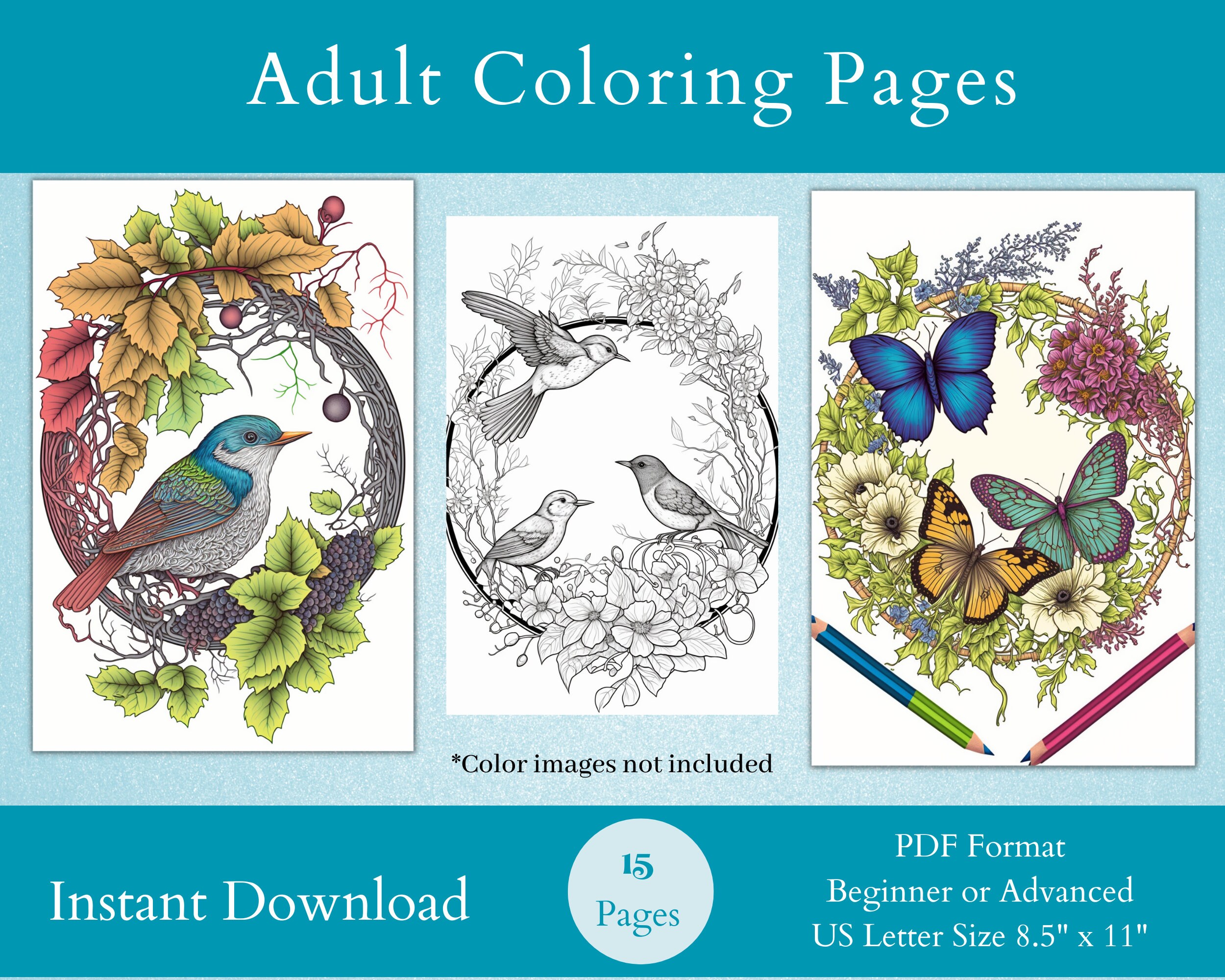 Birds and Butterflies Coloring Pages - Etsy
