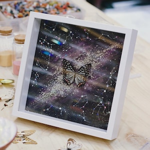 Real Framed Butterfly, Insect Shadow Box, Dried Insect Handmade Collection, Real Butterfly Specimen, Butterfly Display, Decor Wall Hanging