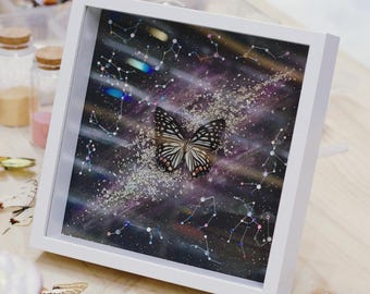 Real Framed Butterfly, Insect Shadow Box, Dried Insect Handmade Collection, Real Butterfly Specimen, Butterfly Display, Decor Wall Hanging