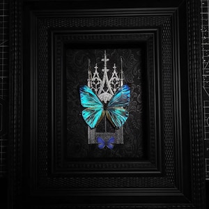 A1 Real Butterfly Specimen Frame, Gothic Decor Wall Hanging, Vintage Butterfly Decor, Butterfly Shadowbox,Taxidermy Butterfly Gift, Display