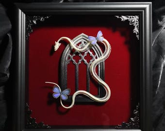 Real A1 Snake Skeleton and Real Butterfly Specimen, Butterfly Shadowbox, Butterfly in Frame, Dark Gothic Decor, Vintage Butterfly Decor
