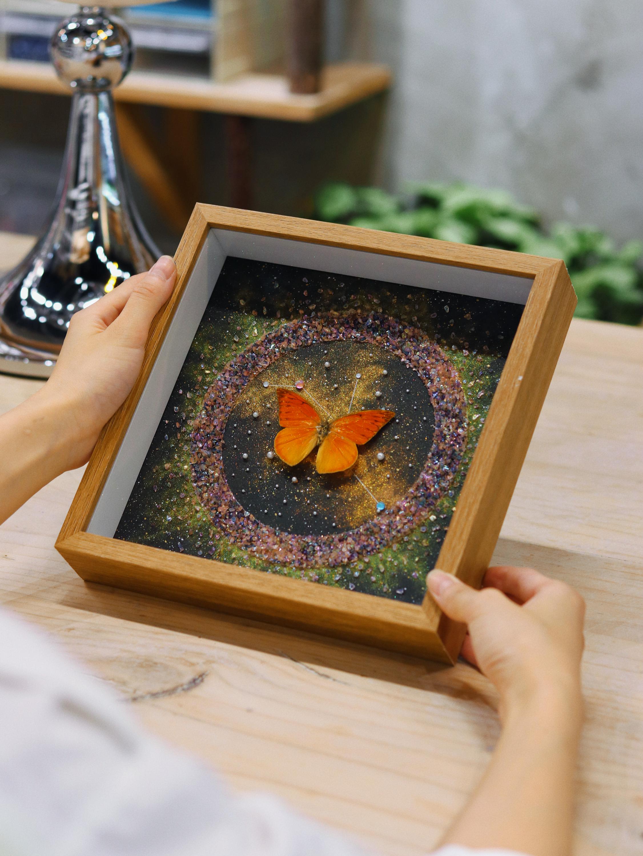 Real Framed Butterfly, Insect Shadow Box, Real Butterfly Specimen, Butterfly Decor, Butterfly Collection, Insect Lover Gift, Wall Hanging