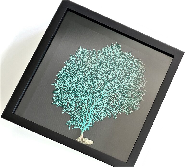 Beach Decor Sea Fan Shadow Box Coastal Decor Coral Shadow Etsy