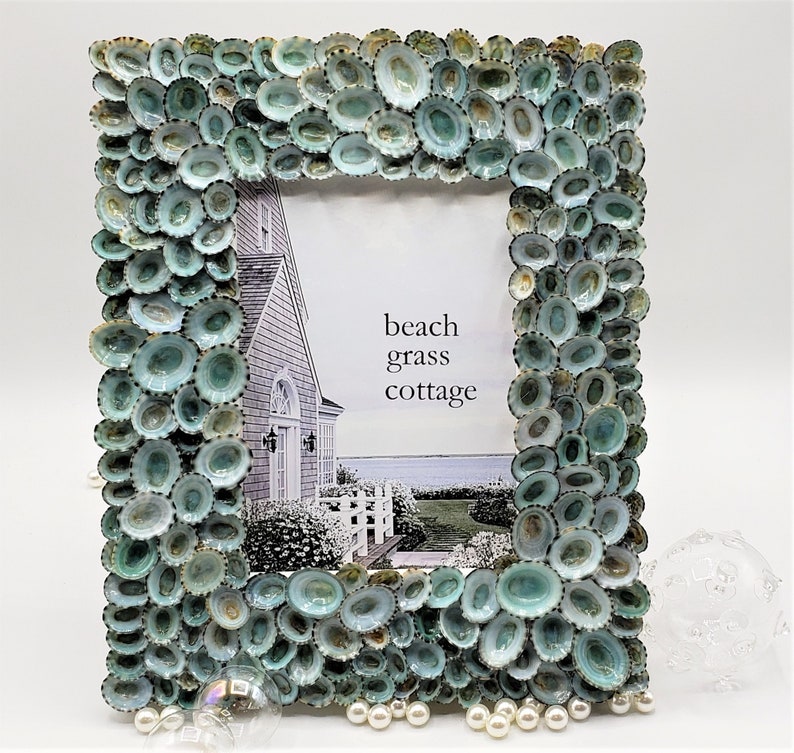 Seashell Picture Frame, Nautical Coastal Beach Decor Aqua Limpet Shell Art Frame for Beach Wedding Photo or Wedding Gift, 5x7 Bild 3