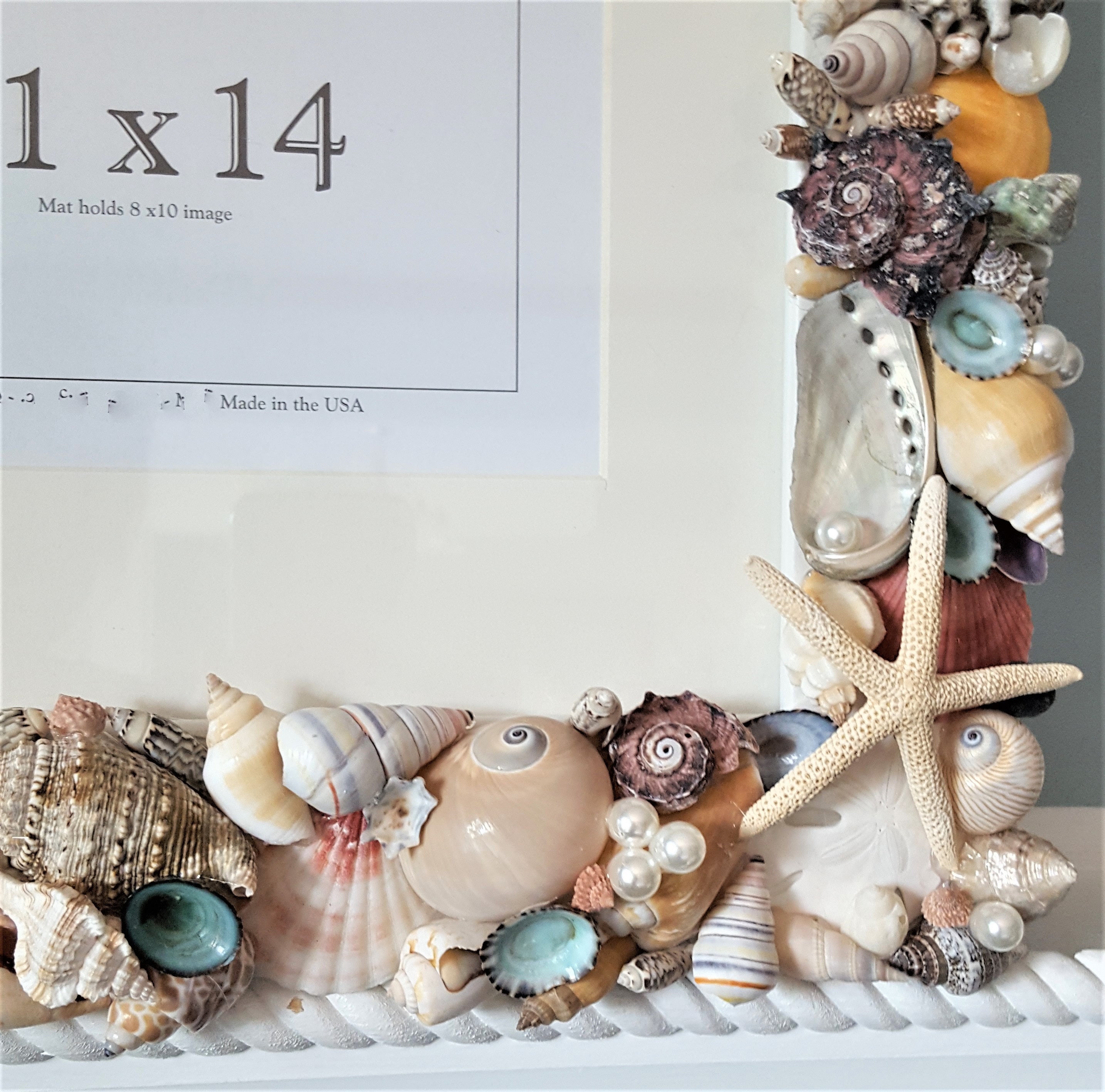 Sea Shell Wall Decor Frame, For Decoration at Rs 4000/piece1 in Raigad