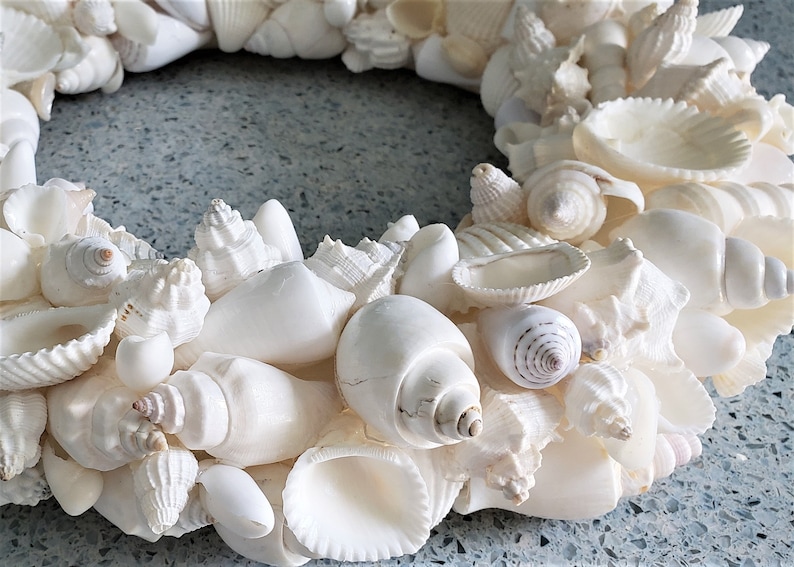 Beach Decor Seashell Wreath, Nautical Decor WHITE Shell Wreath, Coastal Decor Beach Wreath, Sea Shell Wreath, Seashell Decor, 12 WHITE image 6