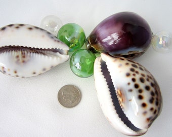 Purple Cowrie Seashell, 3PC Purple Tiger Cowrie Shells, Beach Decor Craft Cowrie Shells, Nautical Coastal Specimen Seashells, 3", 3PC