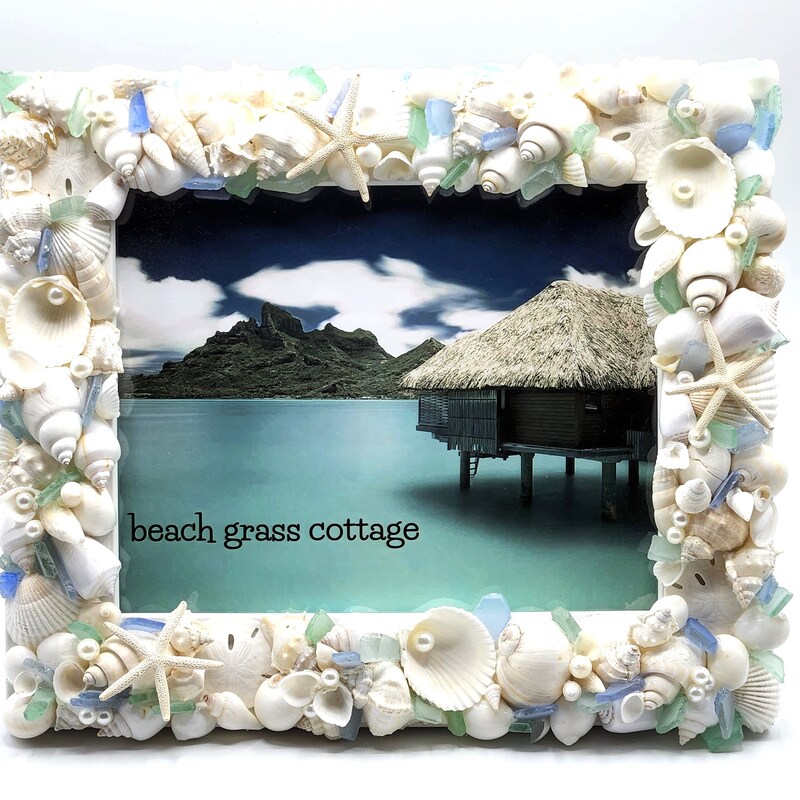 Seashell Frame - Etsy