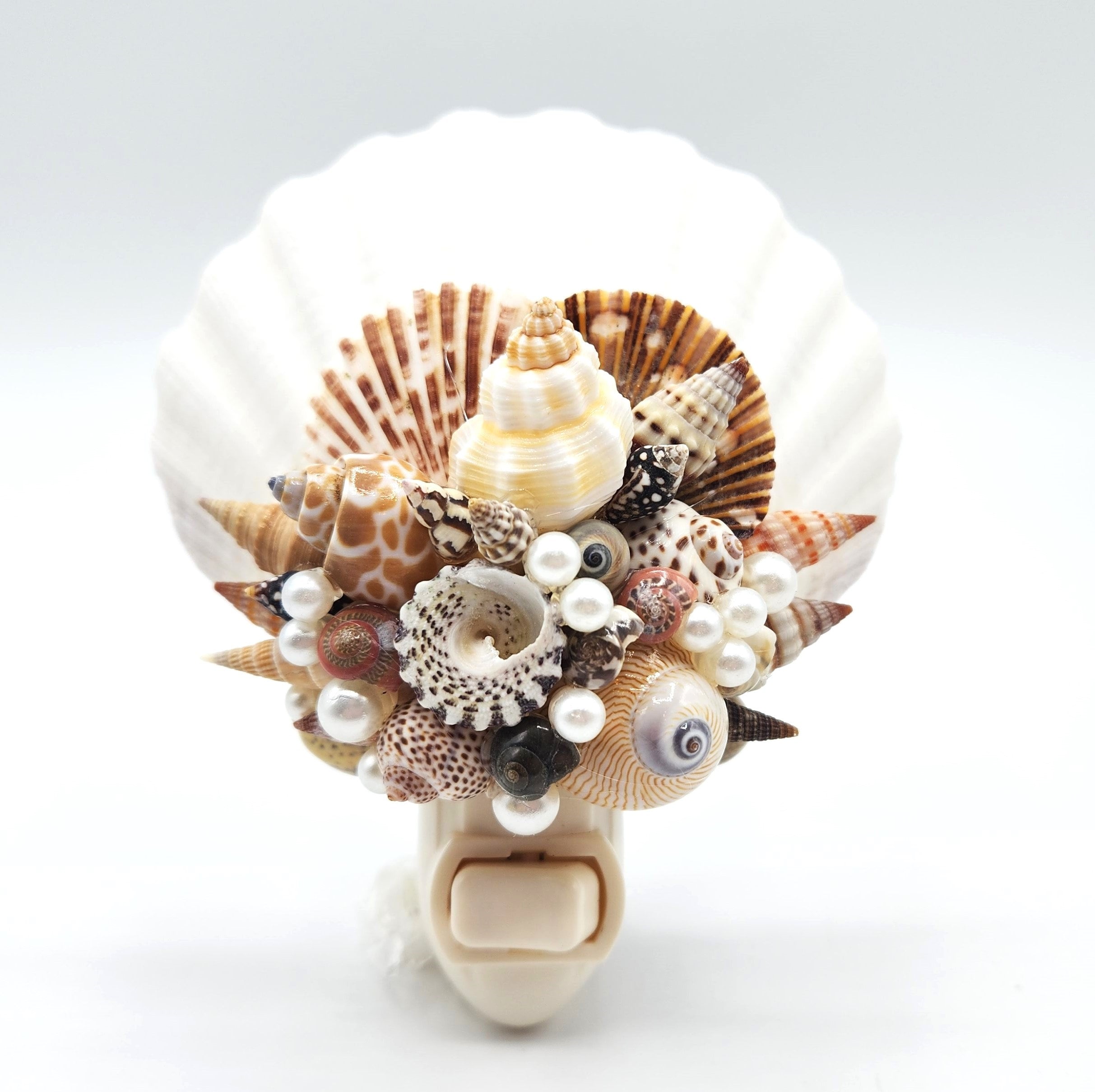 9+ Shell Night Light