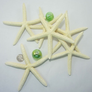 Beach Decor 4-5&quot; White Starfish, 12PC Large Nautical Decor White Finger Starfish, Beach Wedding Large White Pencil Starfish, 4-5&quot;, 12PC