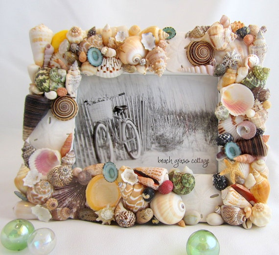 Beach Decor Seashell Frame Nautical Decor Colored Shell Etsy