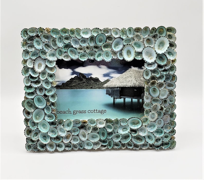 Seashell Picture Frame, Nautical Coastal Beach Decor Aqua Limpet Shell Art Frame for Beach Wedding Photo or Wedding Gift, 5x7 Bild 2