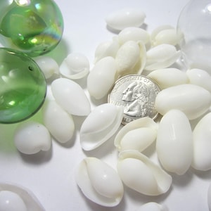 May include: A collection of white, oval-shaped seashells, some open, scattered around a quarter coin. Two green glass spheres and a clear glass sphere are also present, creating a beachy, natural theme.
