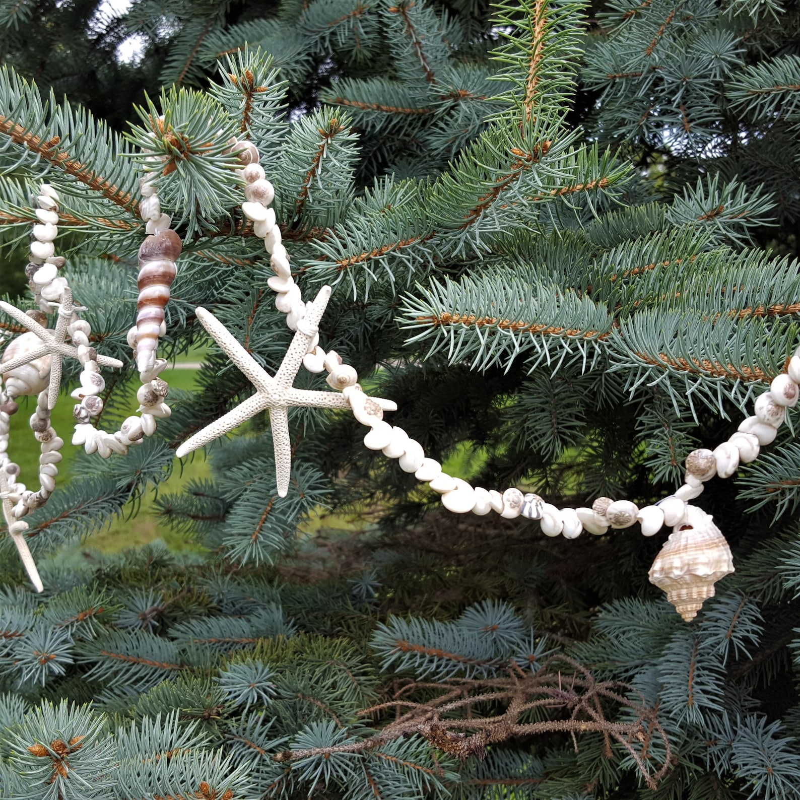 Star Fish Garland