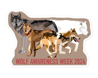 Pegatina de la Semana de Concientización sobre el Lobo 2024, calcomanía para laptop con temática de vida silvestre