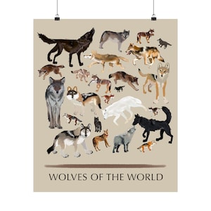 Wölfe der Welt Kunstdruck, handgezeichnetes Wolfarten Poster