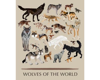 Wolves of the World Art Print, Hand-Drawn Wolf Species Poster