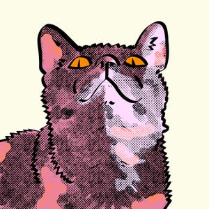Square Digital Pet Portrait Commission