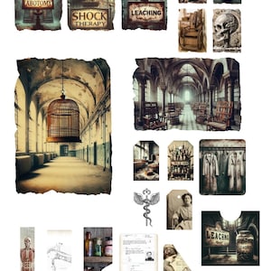 Asyl Junk Journal ( A4 Seite / 21 Seiten ), Gothic Macbre Ephemera, Journal Seiten/ Set, Dark Journal , Goth Journal.
