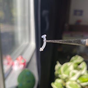 以下が含まれることがあります： ピンセットで持たれた、小さく透明な湾曲したプラスチック片。湾曲した本体と小さな平らな頭部があります。背景はぼやけており、緑の葉と窓のヒントがあります。