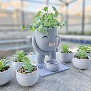 A quirky plant pot with a smiling face and a playful pose is placed outdoors by a pool, surrounded by small white pots with vibrant green succulents. The planter features a modern, speckled gray finish and a built-in saucer for drainage. The bright greenery contrasts with the neutral tones, making it a perfect decorative piece for patios, balconies, or indoor spaces. The relaxed setting highlights the pot’s fun design, adding charm to any plant collection.