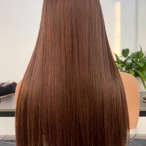 Brown Silk Straight Lace Front Human Hair Wigs Brazilian Remy Hair Glueless Transparent HD Lace Frontal Wig For Women