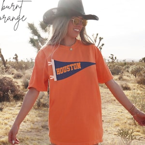 Houston Baseball Vintage Shirt,  Baseball Pennant, Stros Fan Gift, Comfort Colors T-shirt, Houston Baseball Fan, The Stros Ballpark Tee