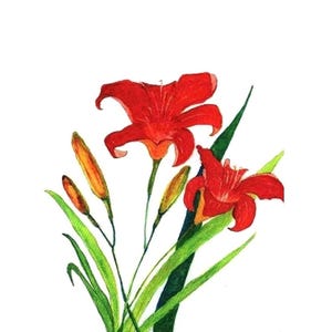 Daylilies Original Watercolor Painting, Flower Portrait