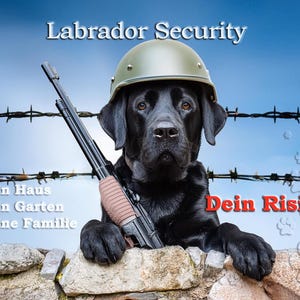 Warning sign door sign dog sign aluminum 20 x 30 cm Labrador Retriever Security 01